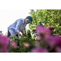 Garden Volunteer Joan Wells