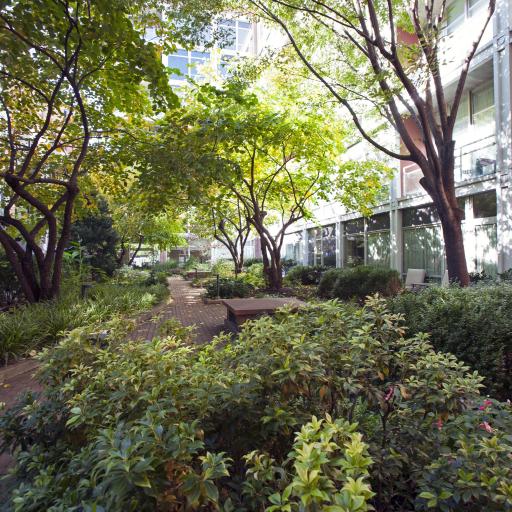 Riverfront Courtyard and Building